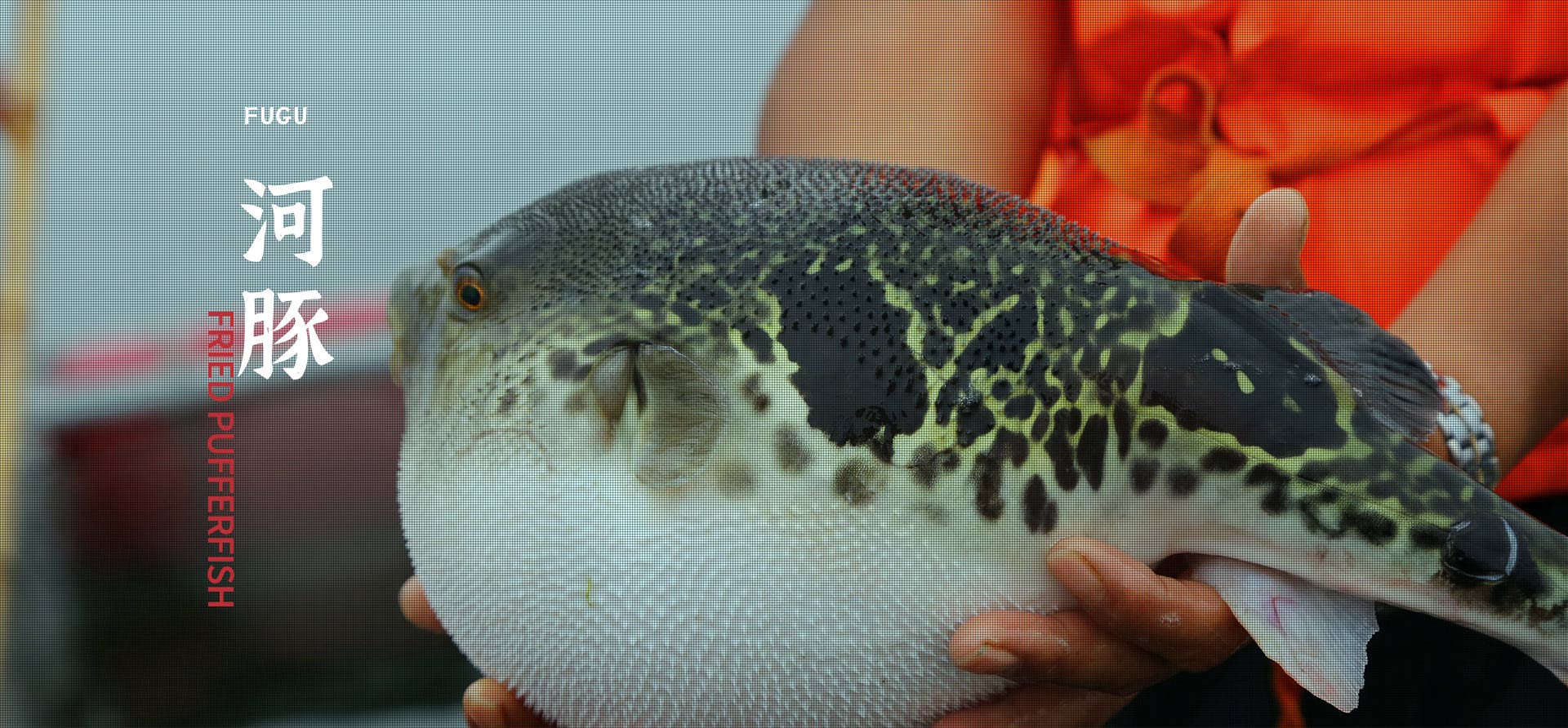 博源国际(中国)有限公司官网