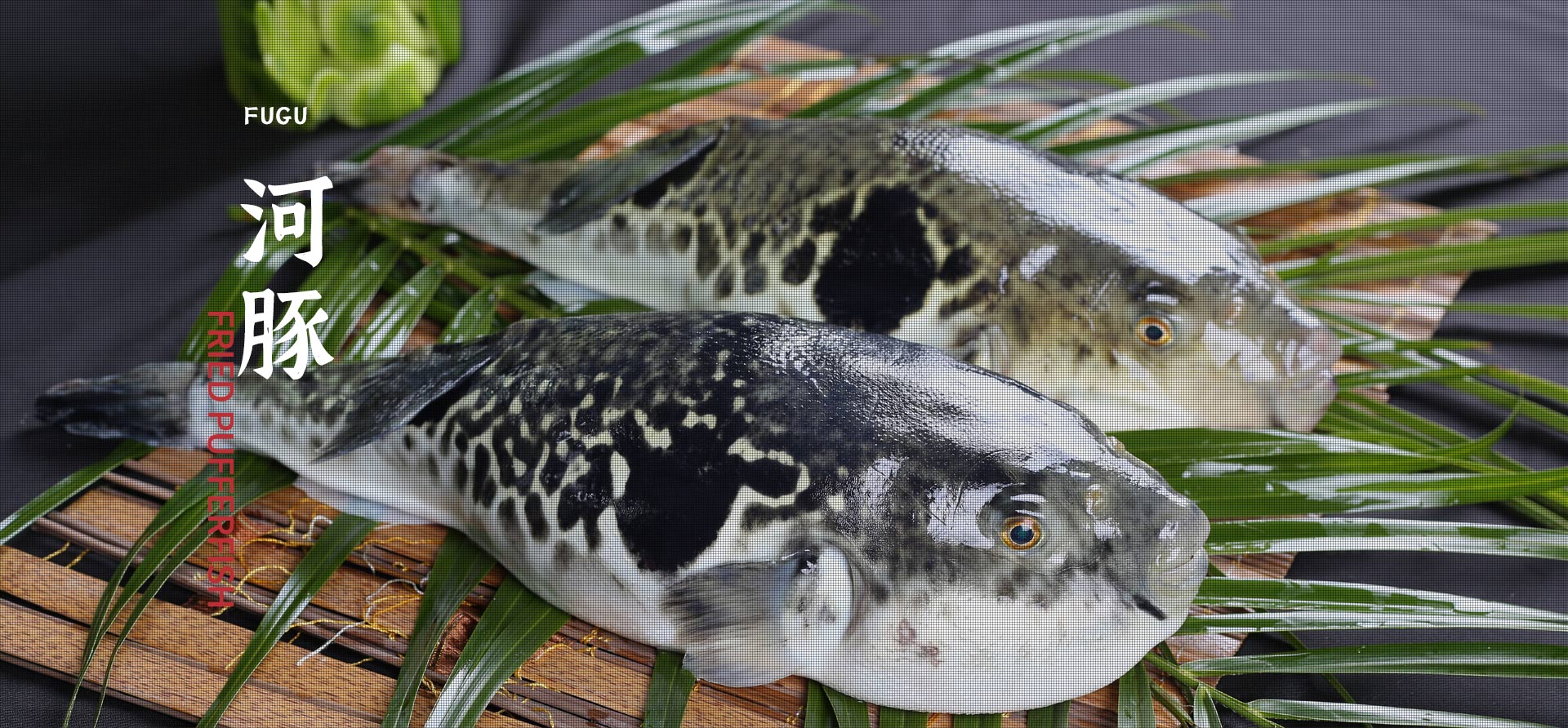 博源国际(中国)有限公司官网